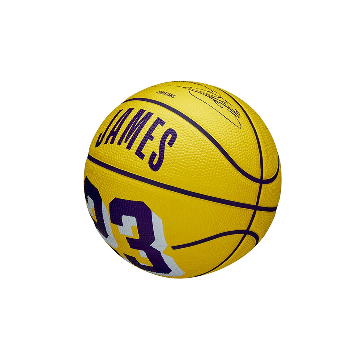 Lebron mini basketball best sale